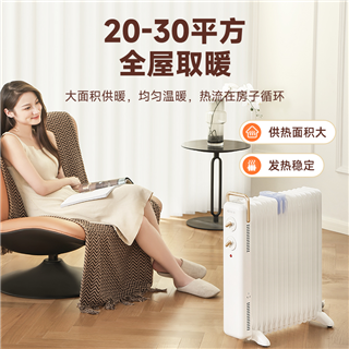 先锋复古石墨烯油汀取暖器暖风机DYT-Z21