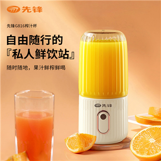 先锋料理机便携式榨汁杯280ml G816